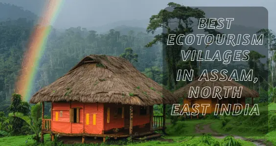 Best Ecotourism Villages in Assam North East India