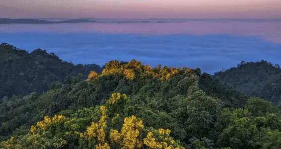 Jampui Hills Ecotourism in Tripura