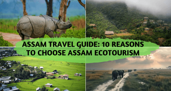 Assam Travel Guide 10 Reasons to Choose Assam Ecotourism