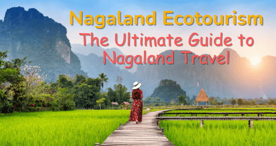 Nagaland Ecotourism The Ultimate Guide to Nagaland Travel 2024