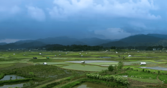 Ziro Valley, Arunachal Pradesh