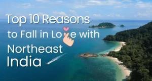 Top 10 Reasons to fall in Love with Northeast India